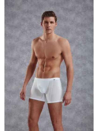 Doreanse Shorts 1510 мужские трусы модели шорты